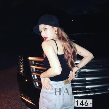 澳门精准正版资料大全app下载